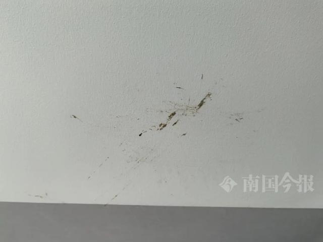 ！业主崩溃：全屋都是无法接受尊龙凯时app婚房被粪水浸泡(图2)