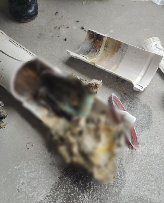 ！业主崩溃：全屋都是无法接受尊龙凯时app婚房被粪水浸泡(图3)