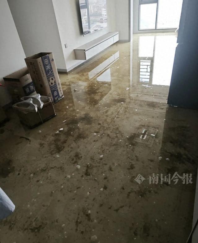 ！业主崩溃：全屋都是无法接受尊龙凯时app婚房被粪水浸泡(图7)