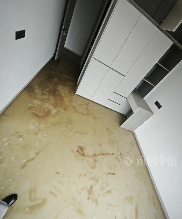 ！业主崩溃：全屋都是无法接受尊龙凯时app婚房被粪水浸泡(图6)